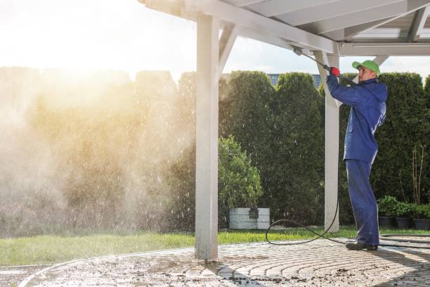 Best Graffiti Removal  in Alpine, NJ